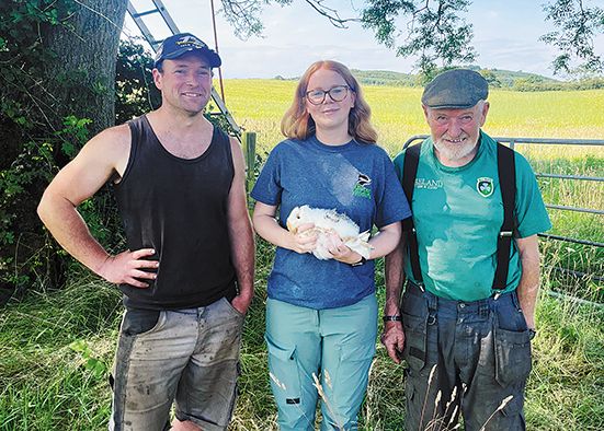 Seeing barn owls breed here for three years running is the ultimate reward for farming with nature