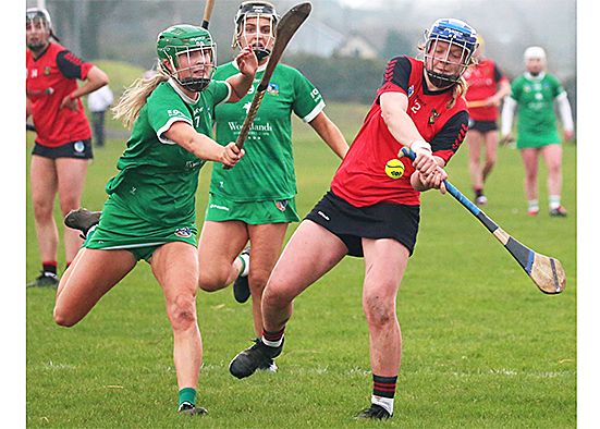 Nugent says camogs on right track