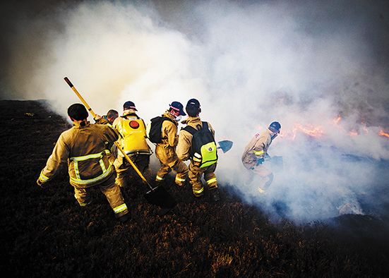 Over 700 acres of land destroyed